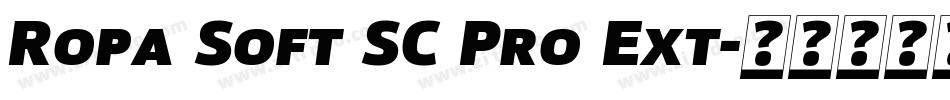 Ropa Soft SC Pro Ext字体转换